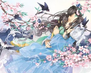 芒果传媒